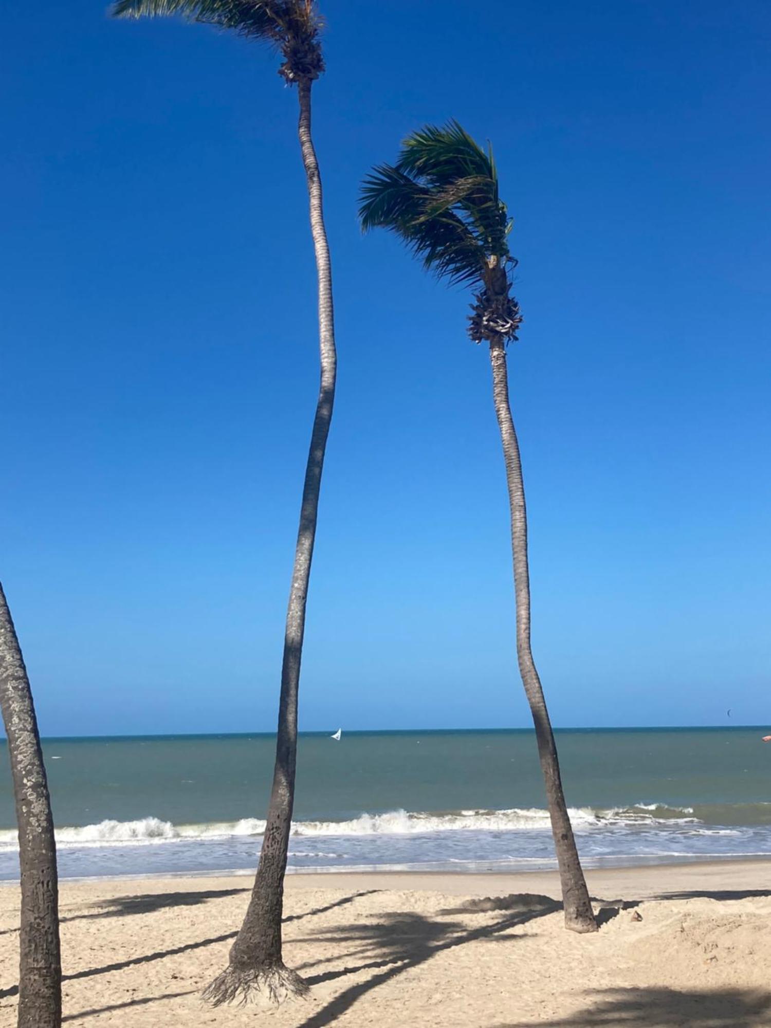Apartment Eco Paradise Pe Na Areia 202 Cumbuco